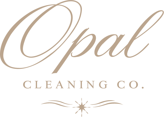 OpelCleaning